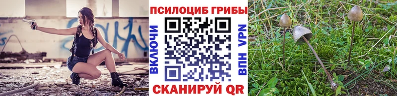 Псилоцибиновые грибы мухоморы  Кизилюрт 