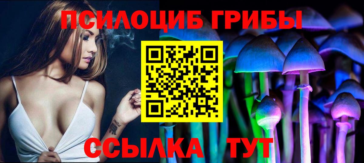 Кизилюрт  Галлюциногенные грибы Psilocybine cubensis  Вход с VPN 