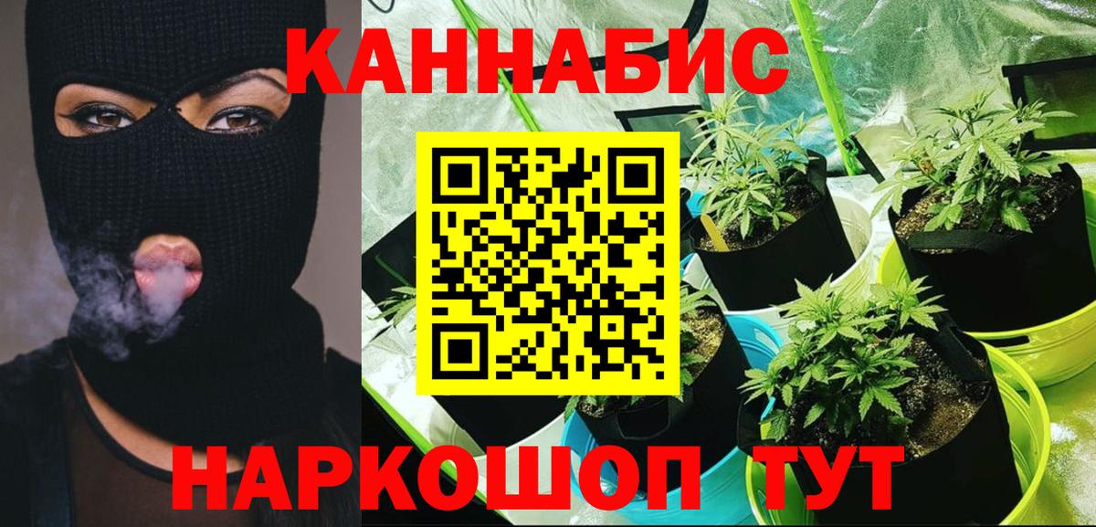 Марихуана марихуана Кизилюрт